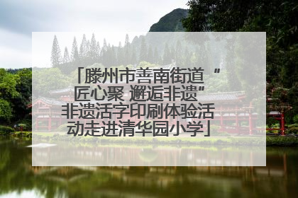 滕州市善南街道“匠心聚 邂逅非遗”非遗活字印刷体验活动走进清华园小学