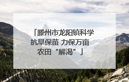 滕州市龙阳镇科学抗旱保苗 力保万亩农田“解渴”