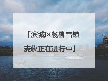 滨城区杨柳雪镇麦收正在进行中