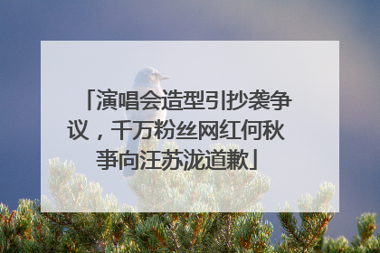 演唱会造型引抄袭争议，千万粉丝网红何秋亊向汪苏泷道歉