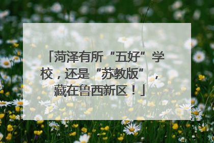 菏泽有所“五好”学校，还是“苏教版”，藏在鲁西新区！