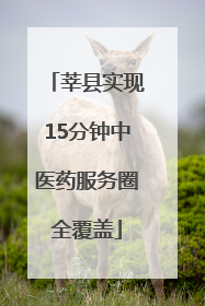莘县实现15分钟中医药服务圈全覆盖