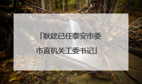 耿建已任泰安市委市直机关工委书记