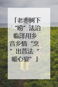 老枣树下“唠”法治 临泽用乡音乡情“烹”出普法“暖心宴”