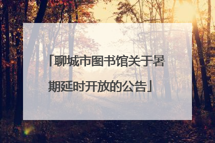 聊城市图书馆关于暑期延时开放的公告