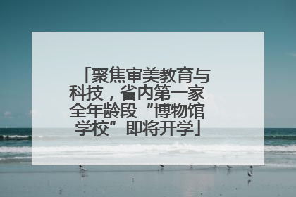 聚焦审美教育与科技，省内第一家全年龄段“博物馆学校”即将开学
