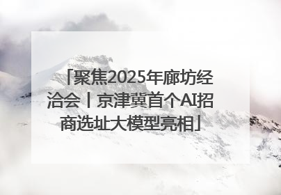 聚焦2025年廊坊经洽会丨京津冀首个AI招商选址大模型亮相