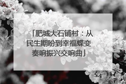 肥城大石铺村：从民生期盼到幸福蝶变奏响振兴交响曲