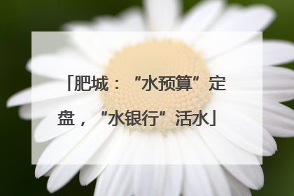 肥城：“水预算”定盘，“水银行”活水