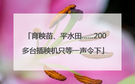 育秧苗、平水田……200多台插秧机只等一声令下