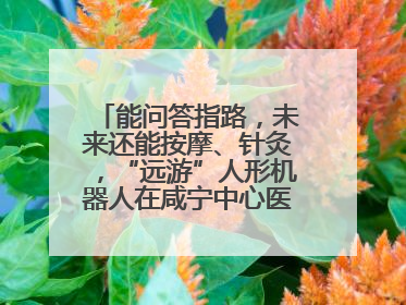 能问答指路，未来还能按摩、针灸，“远游”人形机器人在咸宁中心医院上岗