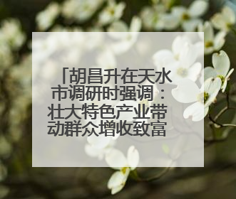 胡昌升在天水市调研时强调：壮大特色产业带动群众增收致富 加强文物保护推动文化创新发展