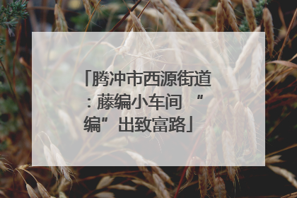腾冲市西源街道：藤编小车间 “编”出致富路