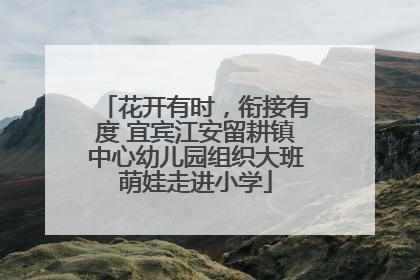 花开有时，衔接有度 宜宾江安留耕镇中心幼儿园组织大班萌娃走进小学