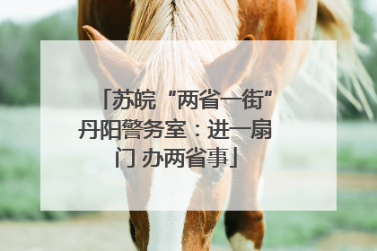 苏皖“两省一街”丹阳警务室：进一扇门 办两省事