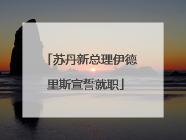 苏丹新总理伊德里斯宣誓就职