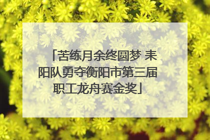 苦练月余终圆梦 耒阳队勇夺衡阳市第三届职工龙舟赛金奖