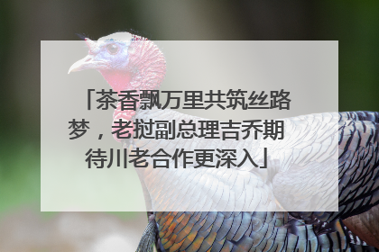 茶香飘万里共筑丝路梦，老挝副总理吉乔期待川老合作更深入