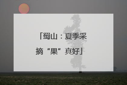 蜀山：夏季采摘“果”真好