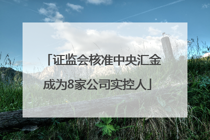 证监会核准中央汇金成为8家公司实控人
