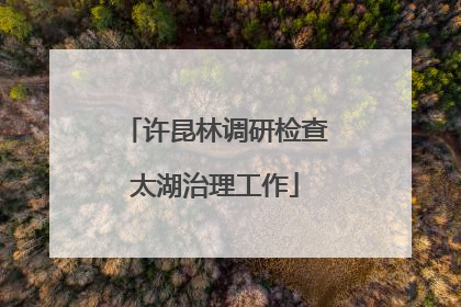 许昆林调研检查太湖治理工作