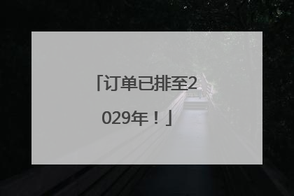 订单已排至2029年！