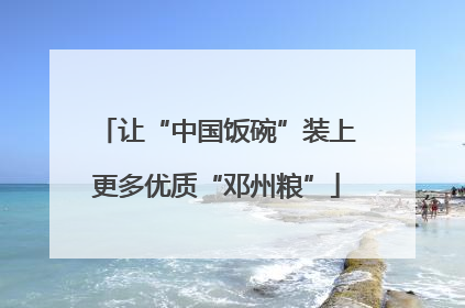 让“中国饭碗”装上更多优质“邓州粮”