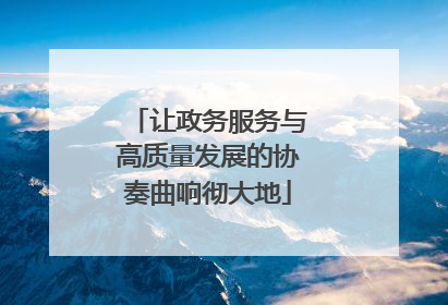 让政务服务与高质量发展的协奏曲响彻大地