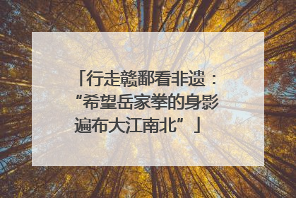 行走赣鄱看非遗：“希望岳家拳的身影遍布大江南北”