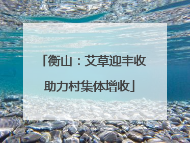 衡山：艾草迎丰收 助力村集体增收