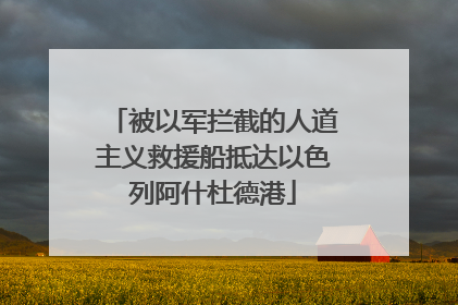 被以军拦截的人道主义救援船抵达以色列阿什杜德港