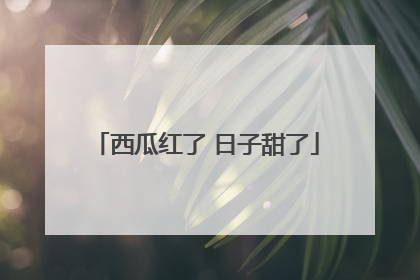 西瓜红了 日子甜了