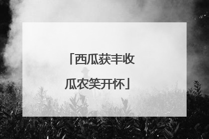 西瓜获丰收 瓜农笑开怀