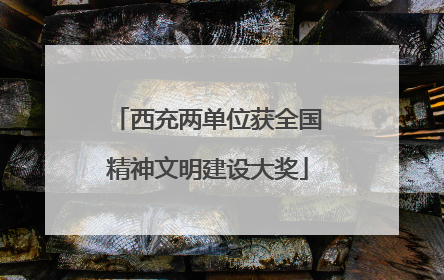 西充两单位获全国精神文明建设大奖