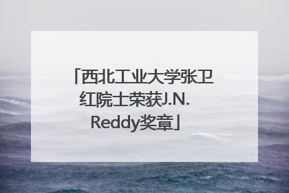 西北工业大学张卫红院士荣获J.N.Reddy奖章