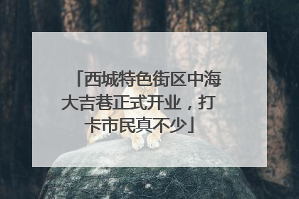 西城特色街区中海大吉巷正式开业，打卡市民真不少