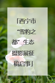 西宁市“雪豹之都”生态摄影展征稿启事