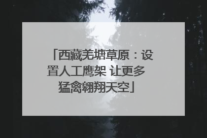 西藏羌塘草原：设置人工鹰架 让更多猛禽翱翔天空