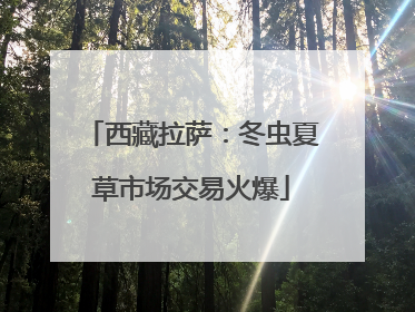 西藏拉萨：冬虫夏草市场交易火爆