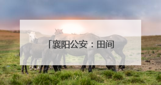 襄阳公安：田间“微警务”绘就三夏“丰收图”