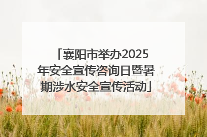 襄阳市举办2025年安全宣传咨询日暨暑期涉水安全宣传活动