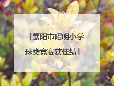 襄阳市昭明小学球类竞赛获佳绩