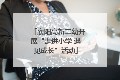 襄阳高新二幼开展“走进小学 遇见成长”活动