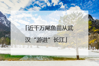 近千万尾鱼苗从武汉“游进”长江
