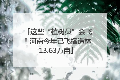 这些“植树员”会飞！河南今年已飞播造林13.63万亩