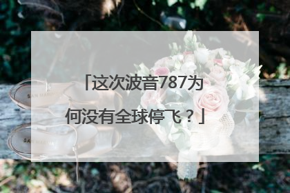 这次波音787为何没有全球停飞？