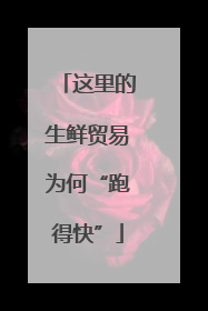 这里的生鲜贸易为何“跑得快”