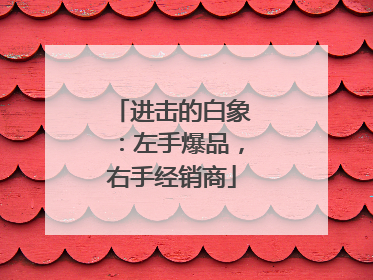 进击的白象：左手爆品，右手经销商
