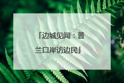 边城见闻：普兰口岸访边民