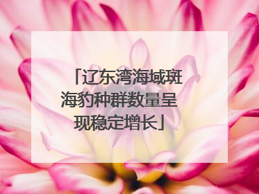 辽东湾海域斑海豹种群数量呈现稳定增长